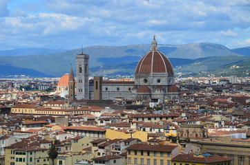Fototapeta na wymiar Florence from above