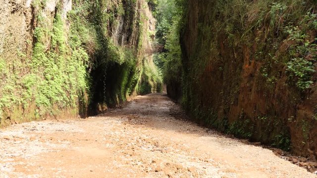 Etruscan Via Cava, one of the long trench dug into the tuff rock that connected ancient necropolis and several settlements in the area of Sovana and Sorano. Zoom in shot.