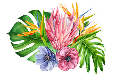bouquet of tropical flowers, watercolor painting, hand drawing, strelitzia,  protea, blue and pink anemone, leaves of palms, monstera