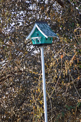 Birdhouse