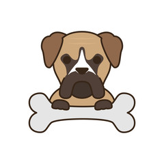 cute little dog bull mastiff with bone fill style icon