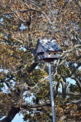 Birdhouse