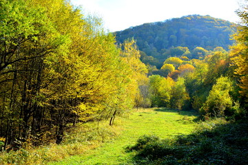 Typical landscape in the forests of Transylvania, Romania. Oravita and Anina