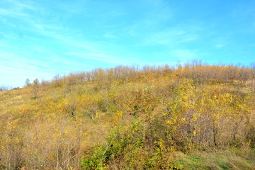 Typical landscape in the forests of Transylvania, Romania. in the county Banat