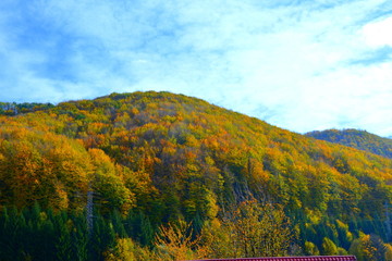 Obraz premium Typical landscape in the forests of Transylvania, Romania. in the county Banat