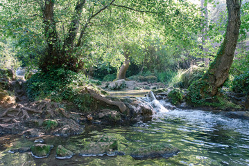 Forest in gallery crossed by stream in autumn Sierra Norte province of Seville Spain