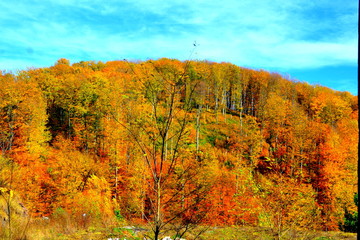 Fototapeta premium Typical landscape in the forests of Transylvania, Romania. in the county Banat