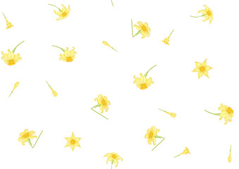 Narcissus. Seamless pattern, background. Colored vector illustration. In art nouveau style, vintage, old, retro style. In soft yellow colors. Isolated on white background