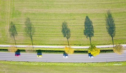 Befahrene Straße mit vier Autos und Bäume die Schatten werfen aus der Vogelperspektive
