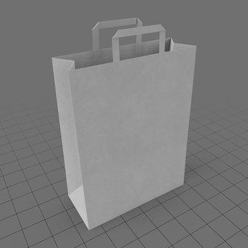 Paper bag with handles