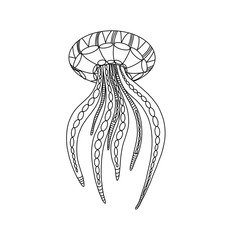 Undersea world. Jellyfish. Illustration for coloring book.