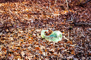 A dirty plastic bottle left in the autumn forest