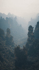 Misty sunrise at China rock mountains valley with green lust trees. Zhangjiajie Wulingyuan	