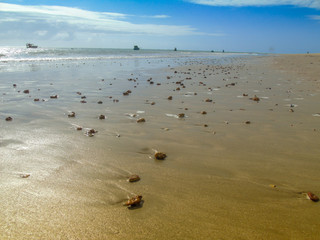 Praia