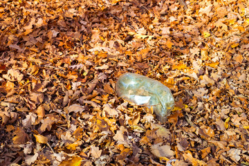 A dirty plastic bottle left in the autumn forest
