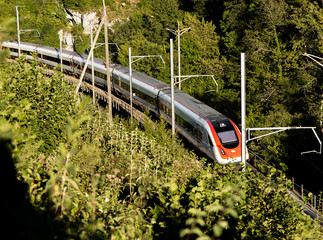 Swiss train in a forest region of Switzerland