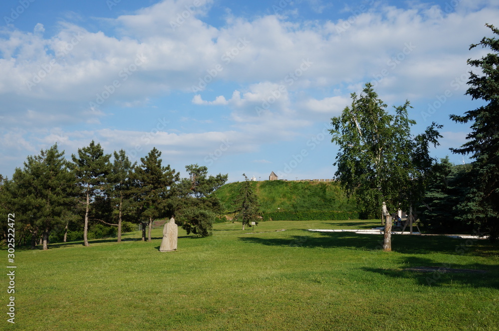 Sticker Natural landscape. Trees and wooden sculpture in the recreation Park.