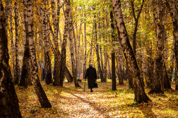 Old lady waling in an autumn forest