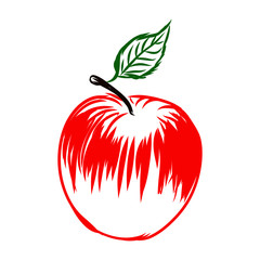 red apple, vector sketch 