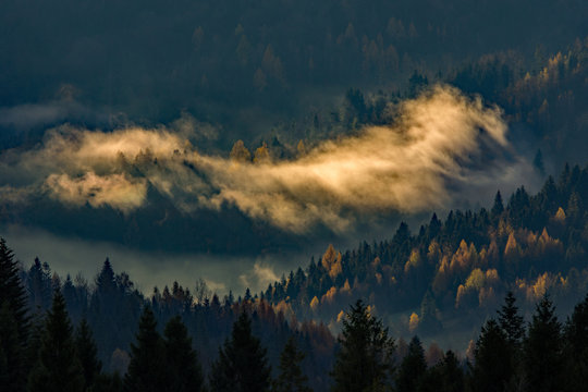 jesienne mgły © piotrwolak