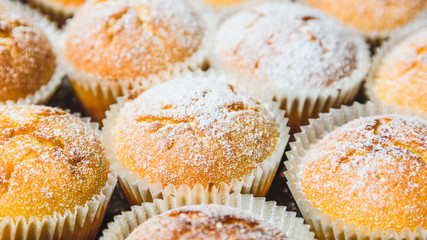 Homemade apple muffins with white sugar powder on wooden table