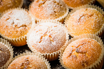 Homemade apple muffins with white sugar powder on wooden table