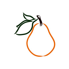 vector illustration of a pear