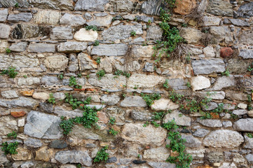 An old stone wall overgrown with grass.