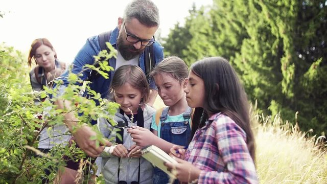 Group of school children with teacher on field trip in nature, learning science.