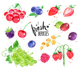 Watercolor illustration collection of berries