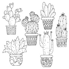 a set of pictures in black and white, cacti in pots