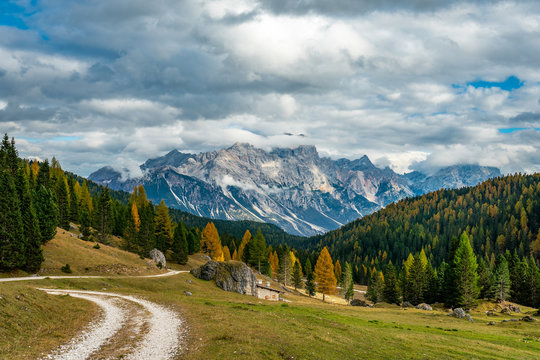 Colourful autumn panorama  with yellow larches in the foreground and the Faloria mountain in the background