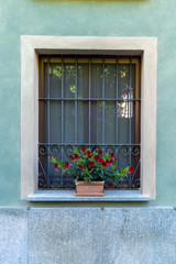 Fototapeta na wymiar old window with flowers