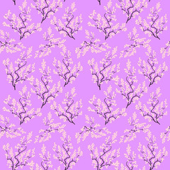 Seamless watercolor floral pattern of sakura on white background