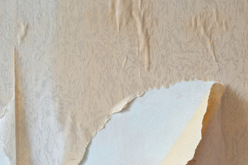 Removing old wallpaper from the wall