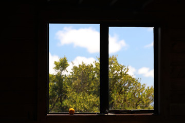 Blick durchs Fenster