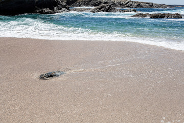 Pedra isolada na areia da praia na zona de rebentação das ondas.