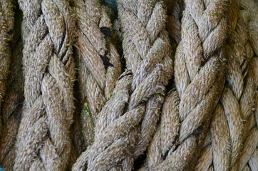 Old maritime rope