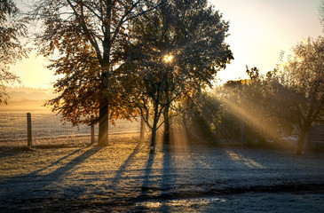 Herbst Sonne Romantik