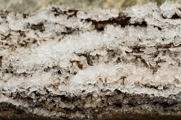 Ice crystals on frozen log