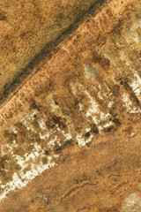 Abstract texture of plain landscape countryside