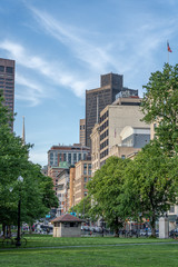 View of Boston Skyscrapers from public garden
