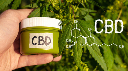 CBD elements in Cannabis. Cannabis Cream of formula Cannabidiol. Biological and ecological hemp...