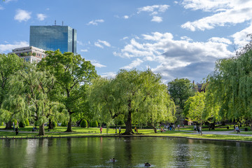 clouds over the lake and people enjoy sunny summer afternoon in Boston Public Garden in Summer time
