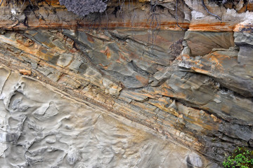 Tilted Coaledo formation and flat lying quaternary deposits forms angular unconformity, Shore Acres...