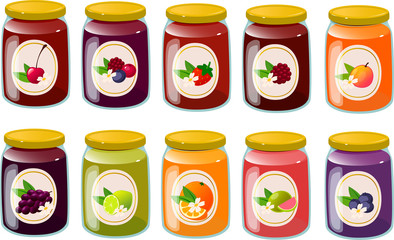 Vector illustration of various kinds of jams, marmalades and jellies