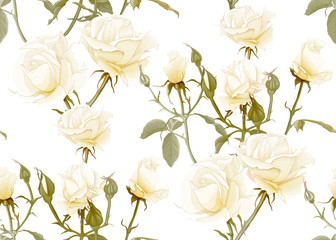 White roses seamless pattern. Isolated on white background. Vector illustration.
