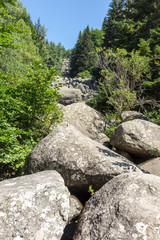 Stone river know as Zlatnite Mostove at Vitosha Mountain,  Bulgaria