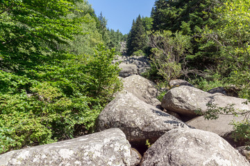 Stone river know as Zlatnite Mostove at Vitosha Mountain,  Bulgaria