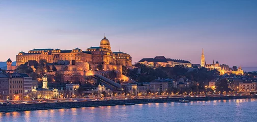 Muurstickers Budapest Castle at Sunset from danube river © Horváth Botond